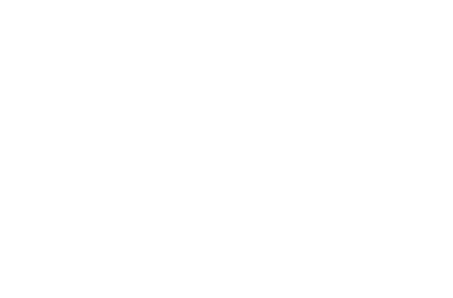日本ドアーチエック製造株式会社｜おかげさまでドアとともに100th Anniversary since1919